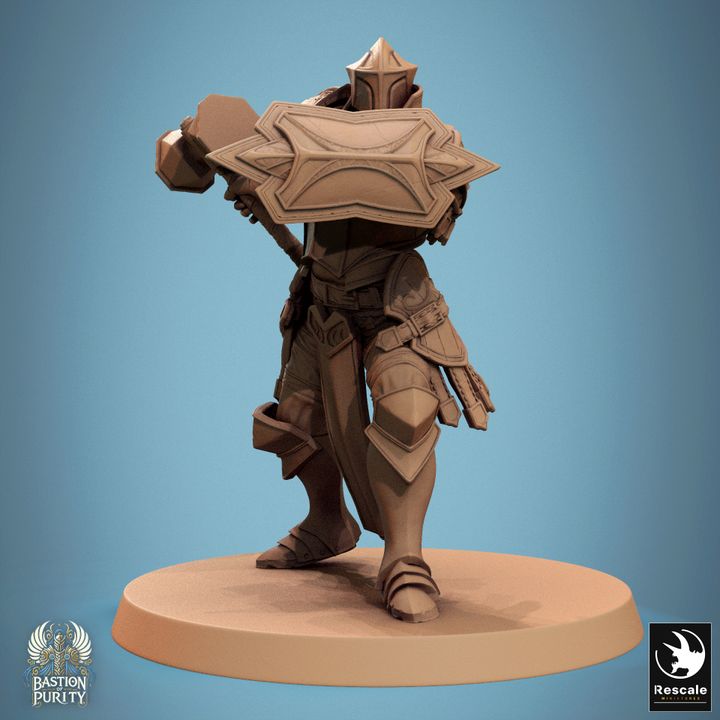 Bastion of Purity - Soldier - Hammer - Block