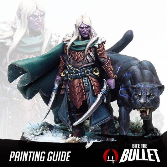 Drow Ranger + Panther - Dungeon Underdark P2
