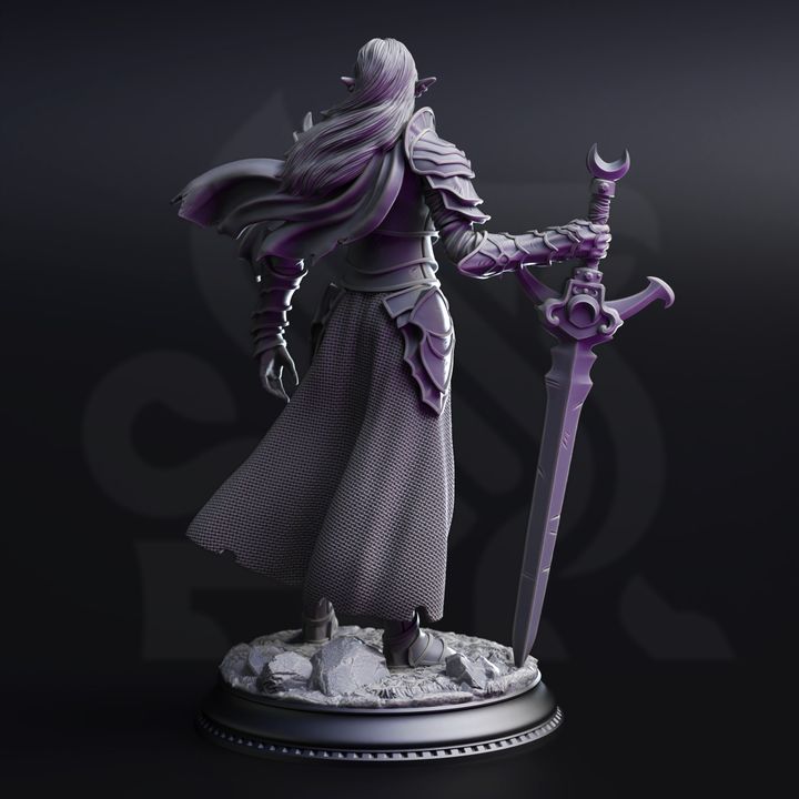 Drow Paladin of the Moon