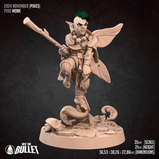 BTB Fairies - Pixie Monk