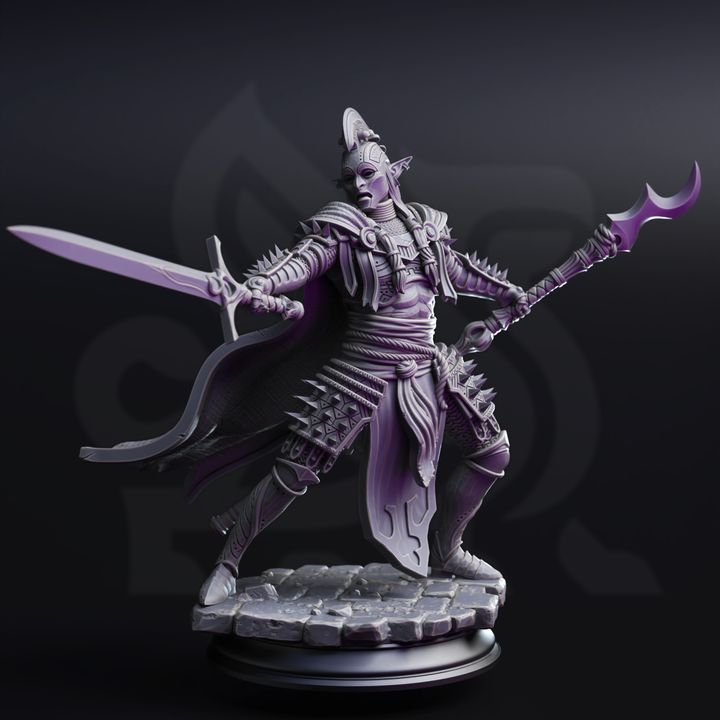 Elite Drow House Guard - The Ordained