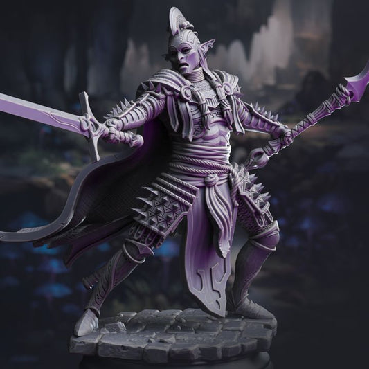 Elite Drow House Guard - The Ordained