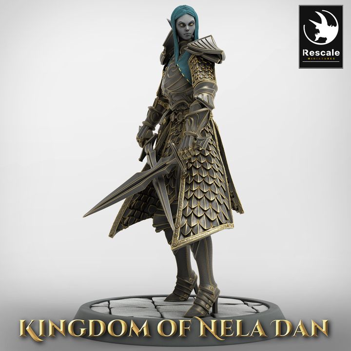 Elf Soldier dual Sword Stance