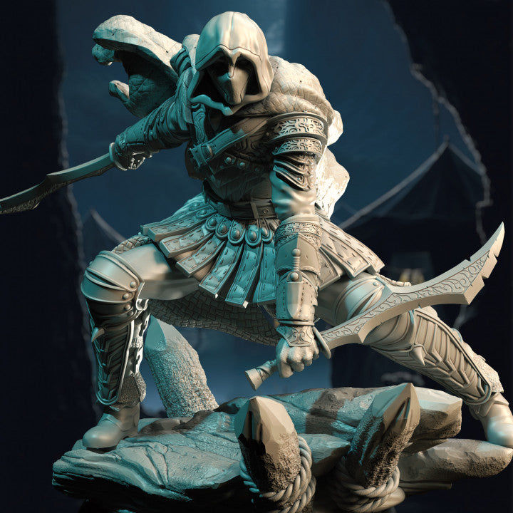 Elf Assassin
