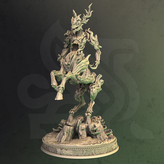 Forest Spirit - DM - Melwyn
