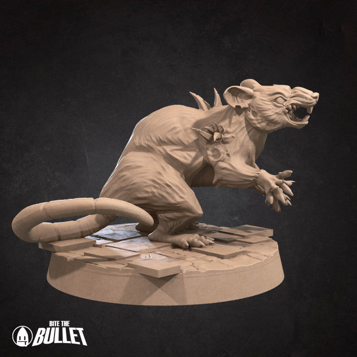 Graveyard Dire Rat 1