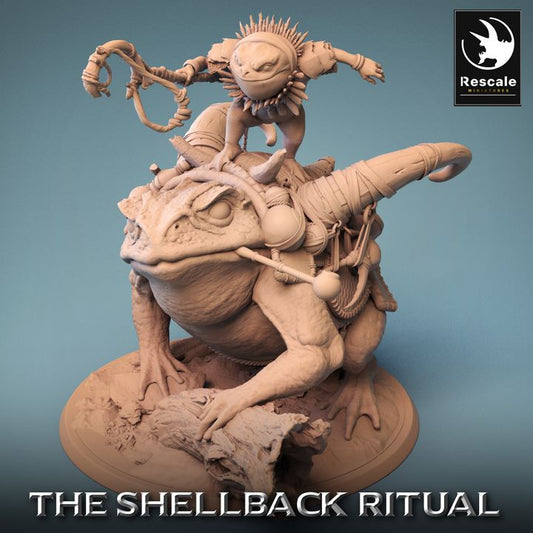 Shellback - Frog - Toad Rider - Battle Ready - Mounted