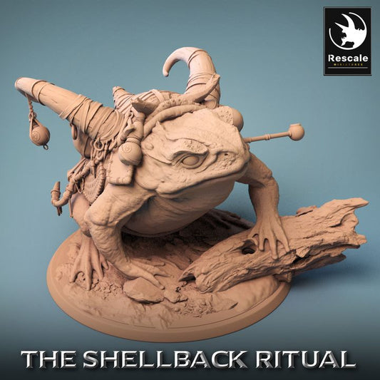 Shellback - Frog - Toad Rider - Battle Ready - Saddle