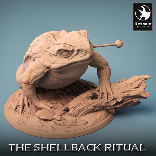 Shellback - Frog - Toad Rider - Battle Ready - Wild Pipe