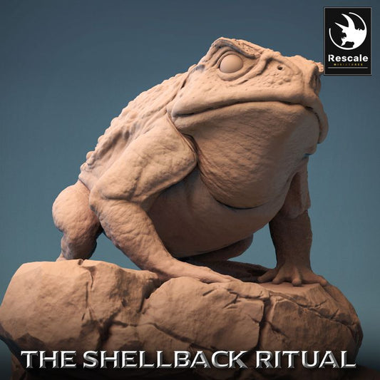 Shellback - Frog - Toad Rider - Wild - Frogmaster