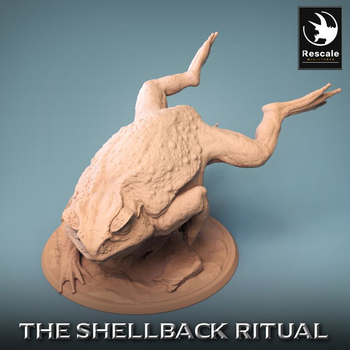 Shellback - Frog - Toad Rider - Wild - Jump