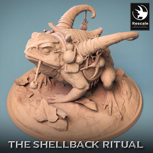 Shellback - Frog - Toad Rider - Saddle - Look