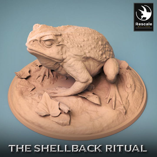 Shellback - Frog - Toad Rider - Wild - Look