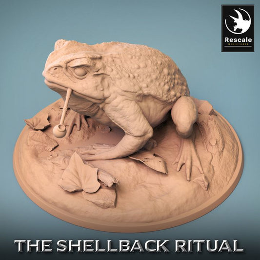 Shellback - Frog - Toad Rider - Wild Pipe - Look