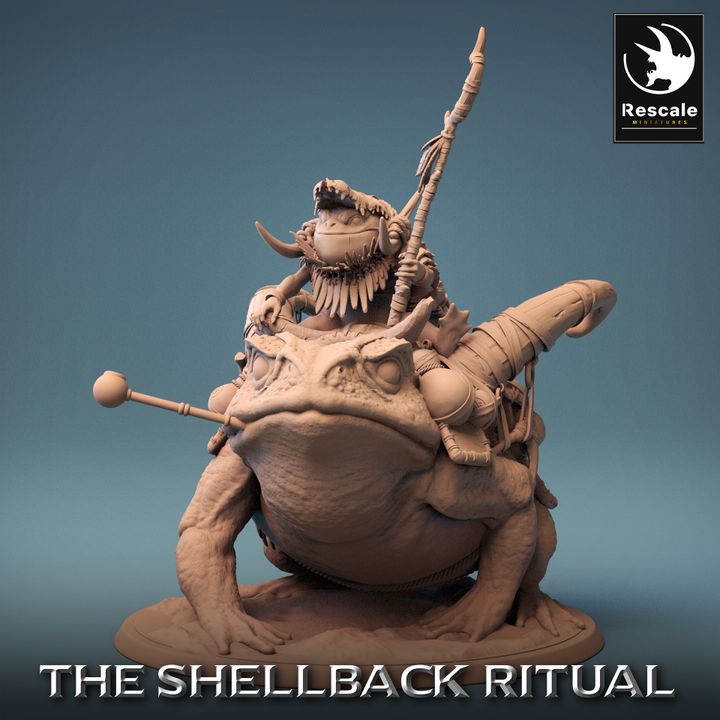 Shellback - Frog - Toad Rider - Mounted - Baby