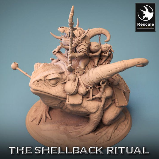 Shellback - Frog - Toad Rider - Mounted - Baby
