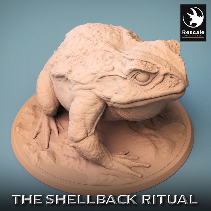 Shellback - Frog - Toad Rider - Wild - Baby