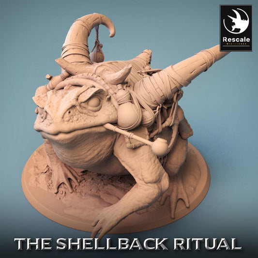 Shellback - Frog - Toad Rider - Trumpet