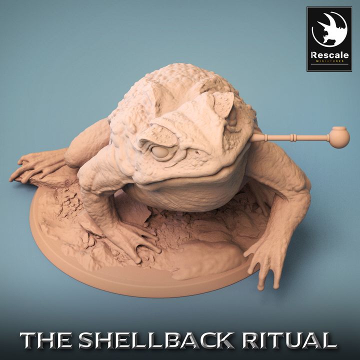 Shellback - Frog - Toad Rider - Wild Pipe - Trumpet