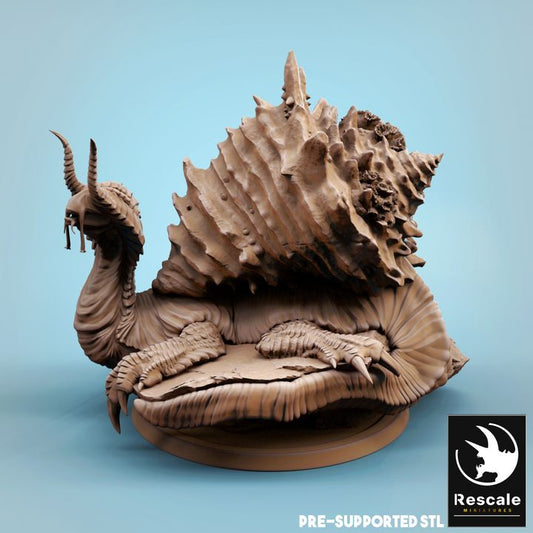 The Ocean Depths - Tortoise Snail - Lay