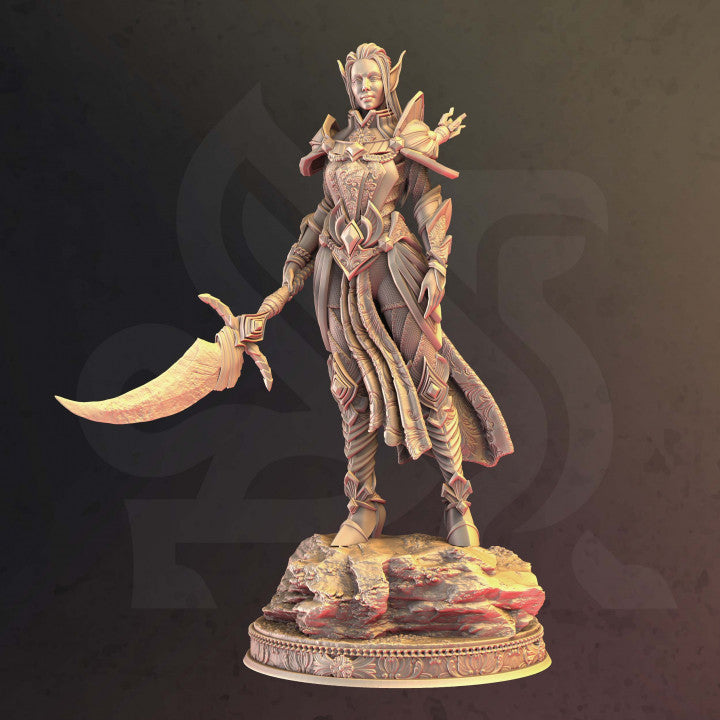 Elven Paladin of War