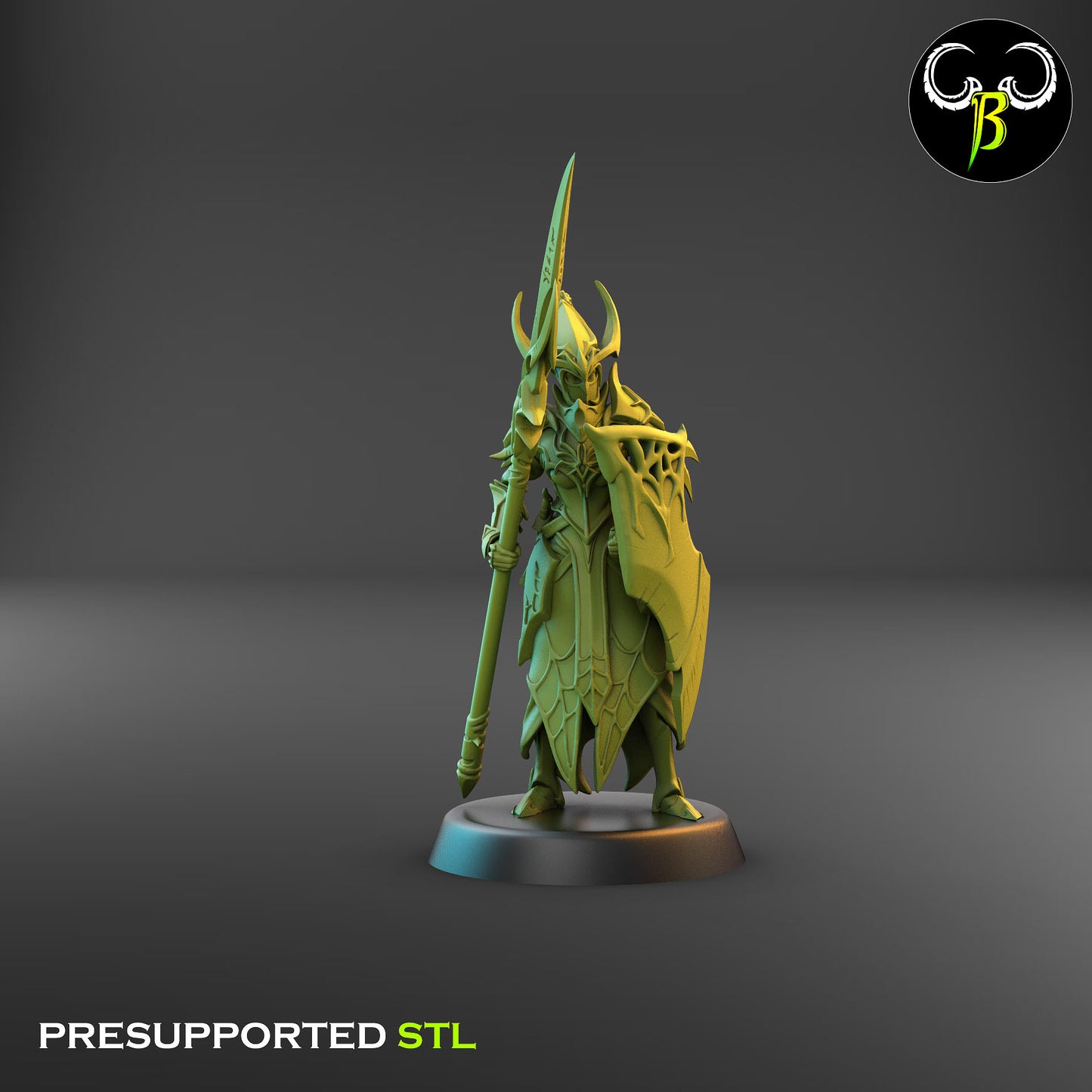 Dark Elf Cultist of the Web 1 - Lance