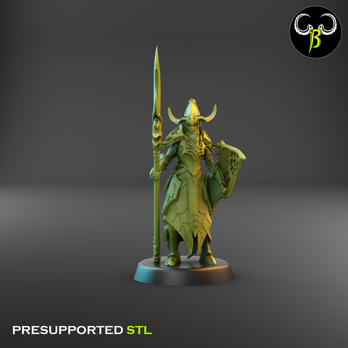Dark Elf Cultist of the Web - Lance 8