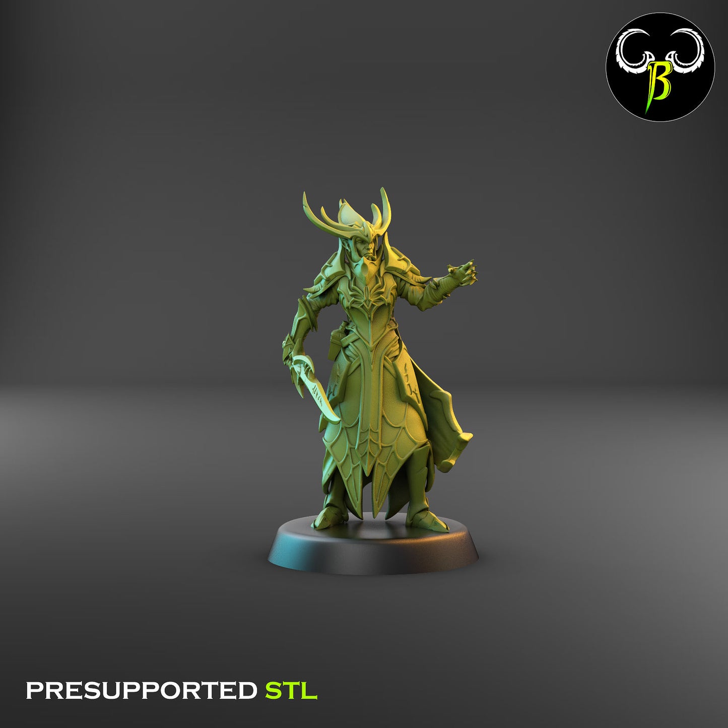 Dark Elf Cultist of the Web - Champion