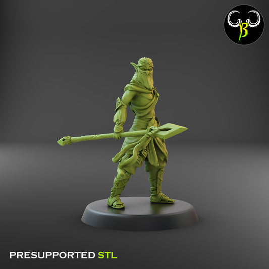 CB Dune Dancers - Elves of the Sand - Lance & Dagger 1