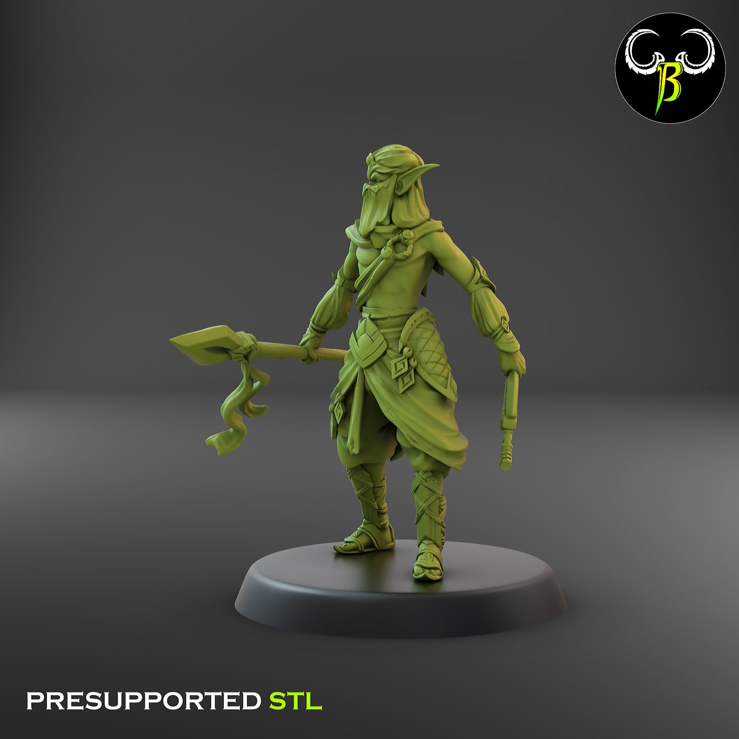 CB Dune Dancers - Elves of the Sand - Lance & Dagger 1