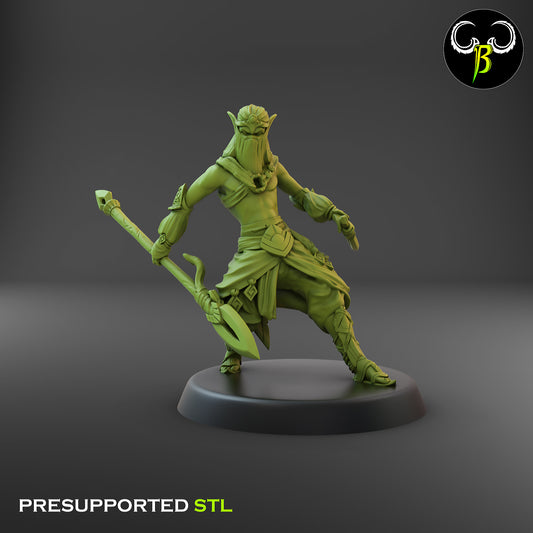 CB Dune Dancers - Elves of the Sand - Lance & Dagger 4