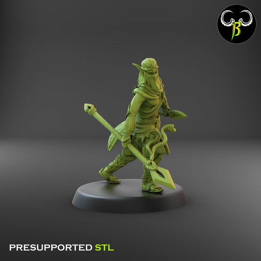 CB Dune Dancers - Elves of the Sand - Lance & Dagger 9