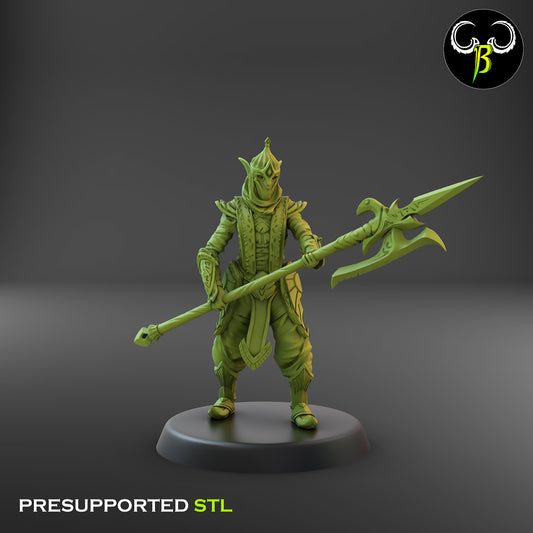 CB Dune Guard - Elite Elven Guard - Halberd 1