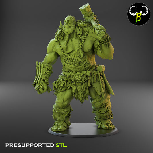 CB - Giant Solider - Iron Hoarder - Warhammer