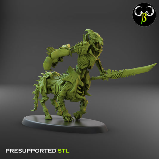 CB Marrow Knights - Sword and Sheild - Undead Centaur Skeleton - Charge 4