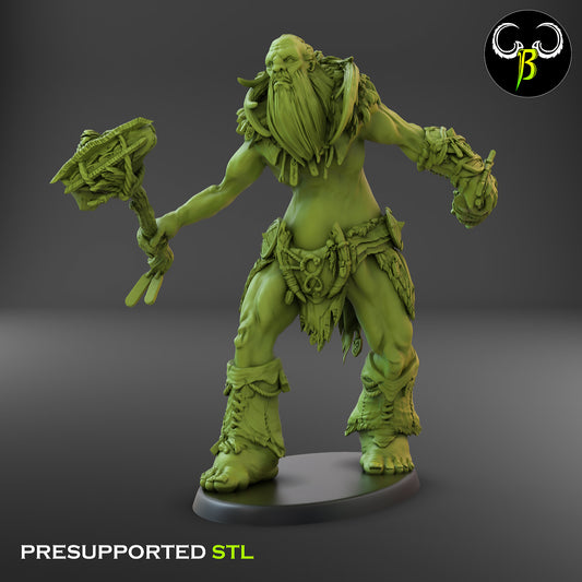 CB - Giant Lord - Peak Wanderer - Giant Warrior - 1