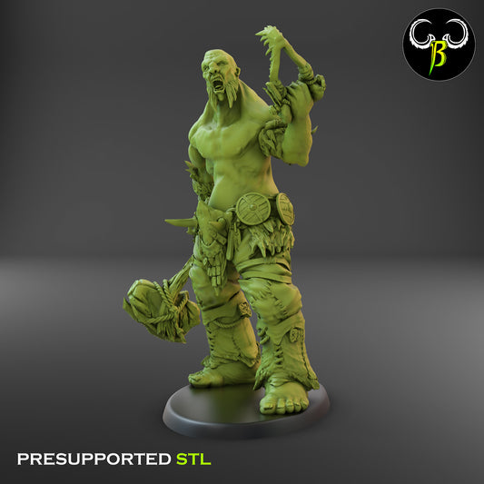 CB - Giant Lord - Peak Wanderer - Giant Warrior - 5