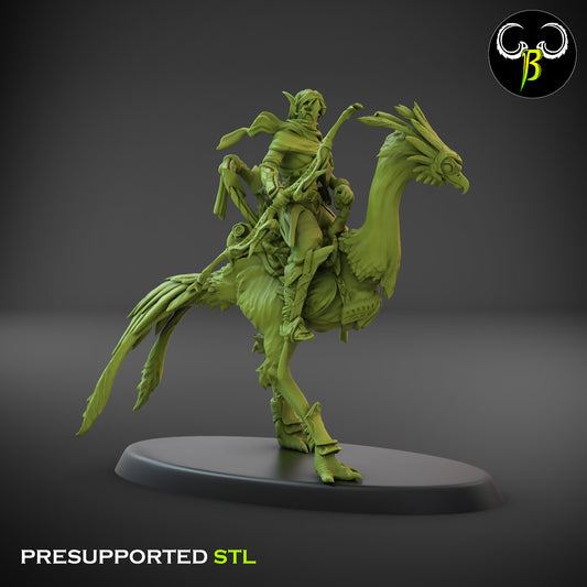 CB  Sand Runner Lance - Bird Rider - Archer 2