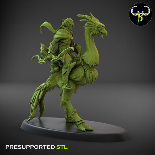 CB  Sand Runner Lance - Bird Rider - Archer 3