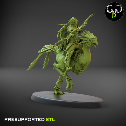 CB  Sand Runner Lance - Bird Rider - Archer 4