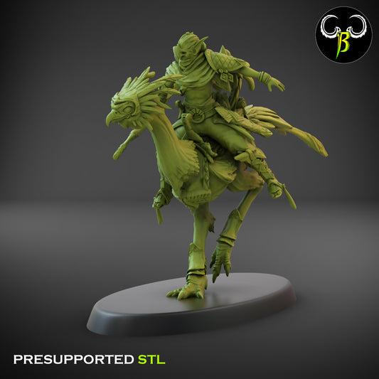 CB  Sand Runner Lance - Bird Rider - Archer 5