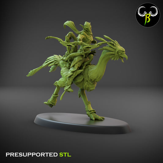 CB  Sand Runner Lance - Bird Rider - Archer 6