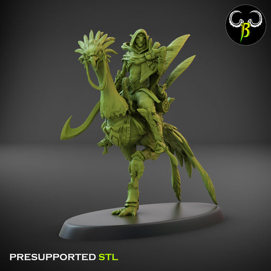 CB  Sand Runner Lance - Bird Rider - Champion