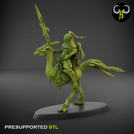 CB  Sand Runner Lance - Bird Rider - 1