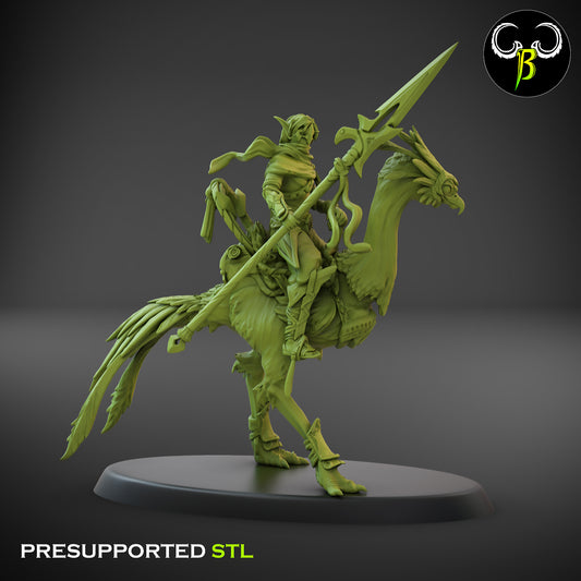 CB  Sand Runner Lance - Bird Rider - 2