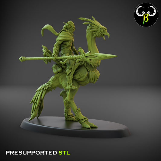 CB  Sand Runner Lance - Bird Rider - 3