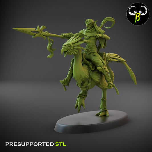 CB  Sand Runner Lance - Bird Rider - 4