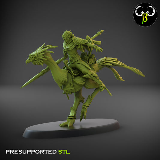 CB  Sand Runner Lance - Bird Rider - 5