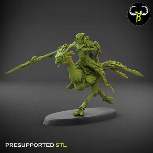 CB  Sand Runner Lance - Bird Rider - 6