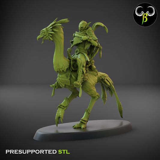 CB  Sand Runner Lance - Bird Rider - Musician